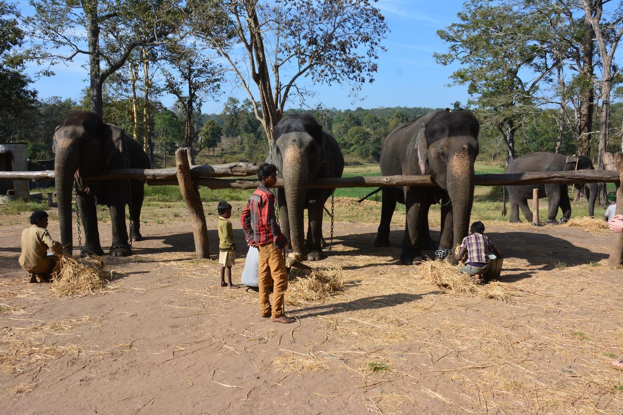 Red Earth Kabini Hotel Begur Bagian luar foto